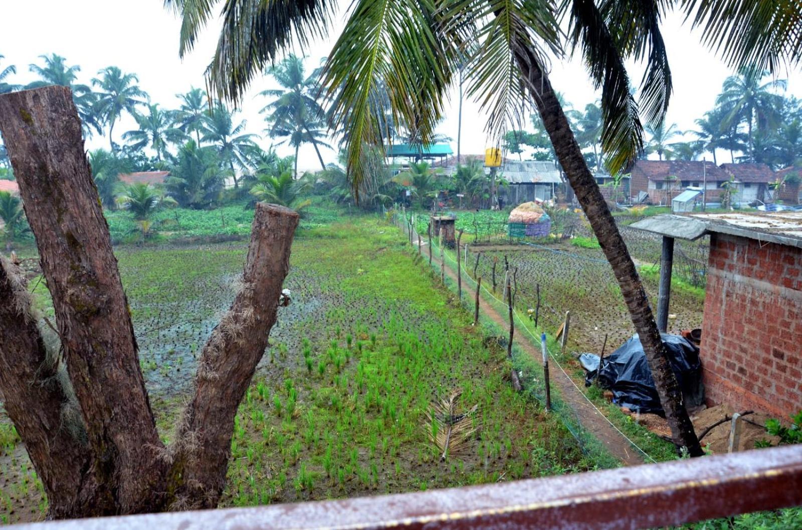 Kenchas Beach Resort Gokarna  Exterior photo